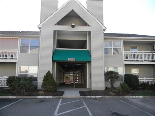 3956 Palomino Dr  #204