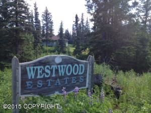 4975 Tundra Rose Road