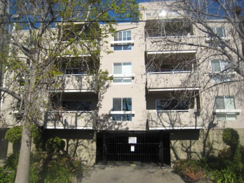 377 Palm Avenue #304