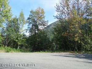 L18 B2 Sullins Drive