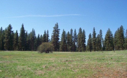 Lot 22 Timber Ridge Drive