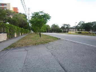 9001 SW 77 Ave C-203