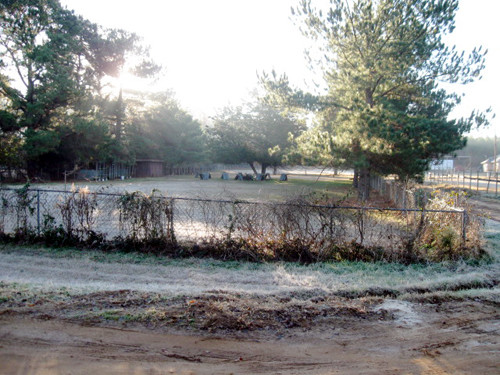 FM 756 (Copeland Road)
