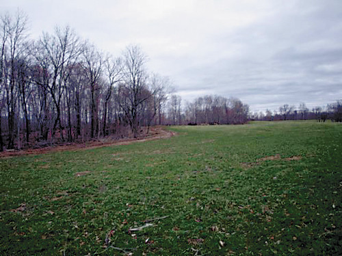 198 Ac. South Fork Rd