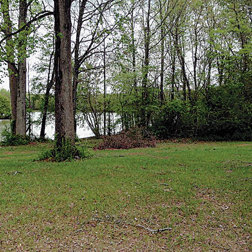 2.75 AC Campbell Drive