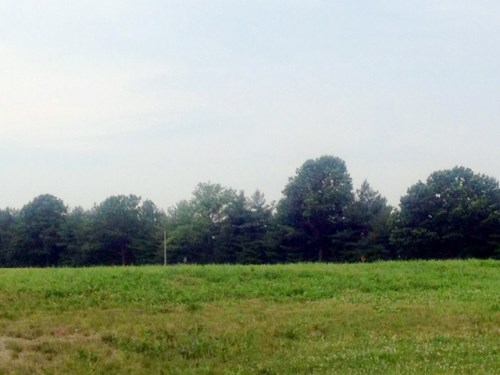 LOT 38 HONEY FARM ROAD