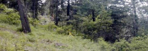 LOT 32 Hillman Basin Road