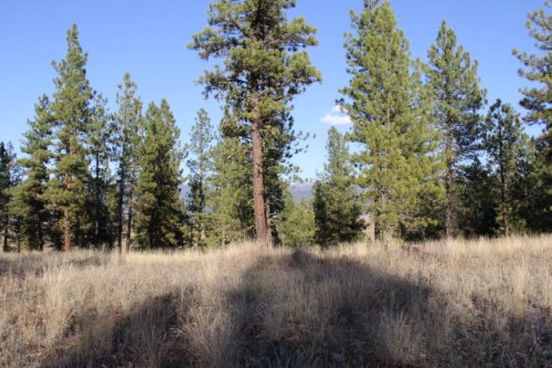 Lot 10 Timber Ridge Drive