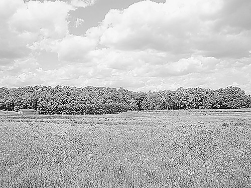 Lot 15 Grand Point Rd