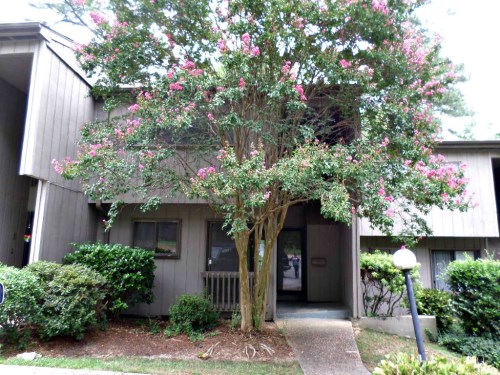 5047 Tall Pine Ct
