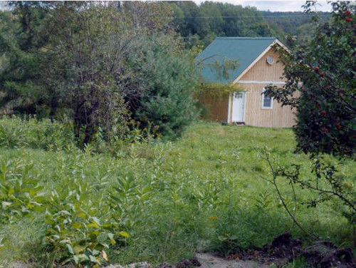 4338 Hinman Settler Road