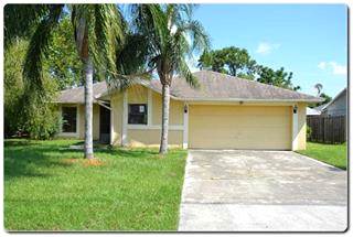 3447 Wilderness Tr