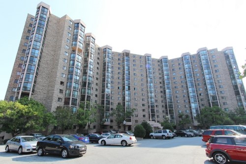 5903 Mount Eagle Dr Unit 1003