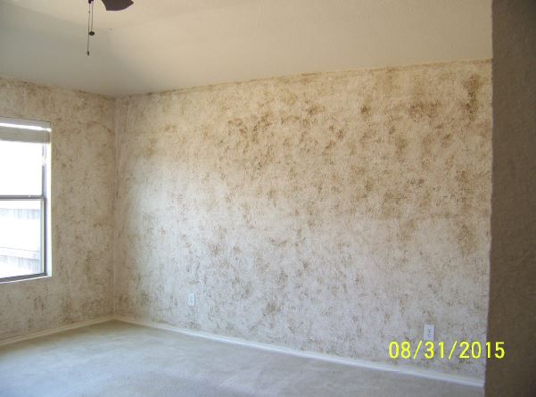 6065 Blazing Star Dr