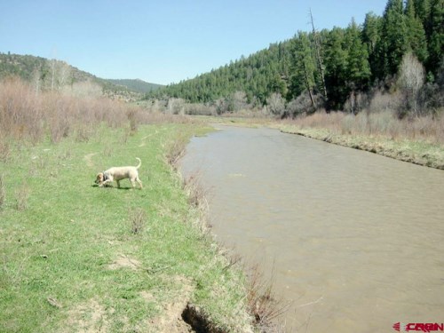 X CR 551 Easement & 2700 CR 551