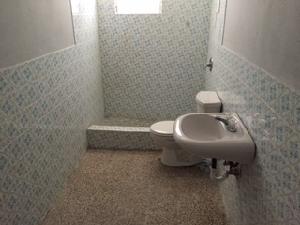 Lot 2 Pr 861 Pajaro