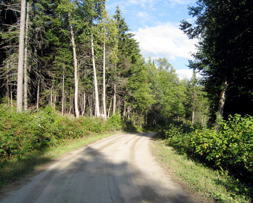 0 Black Fly Lane