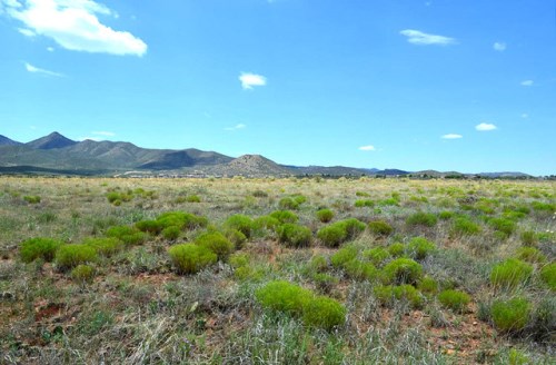 0 E Old Black Canyon