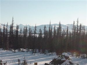L8 B3 Caribou Homestead Loop