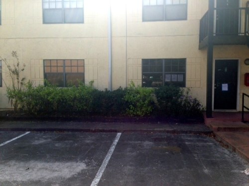 303 Oak Rose Ln Apt 102
