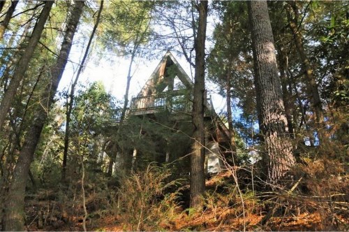 166 Red Oak Lane