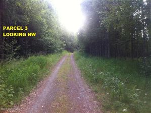 Pcl 3 Blue Goose Road