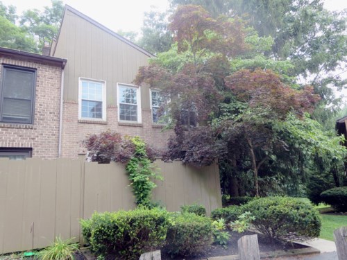 54 Winged Foot Drive