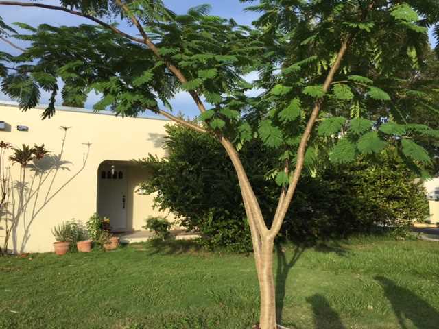 11349 SW 172 ST # 11131C