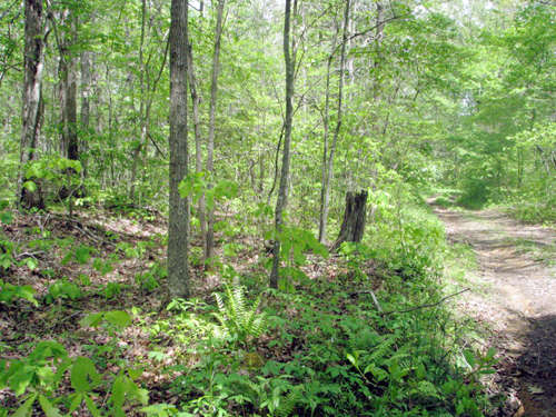 0 Fred Bickford Rd