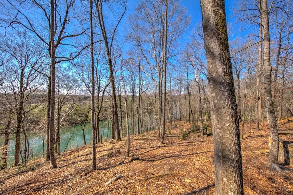 1220 River Laurel Dr