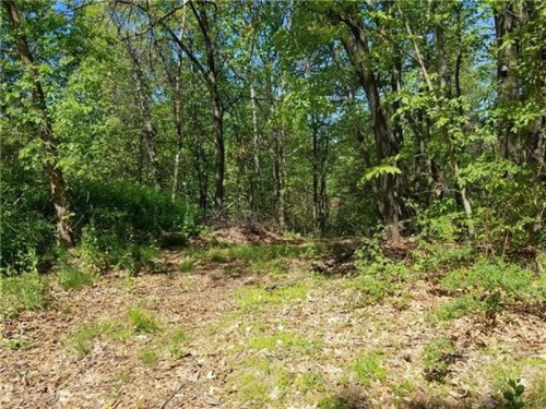 99 WRIGHT DRIVE