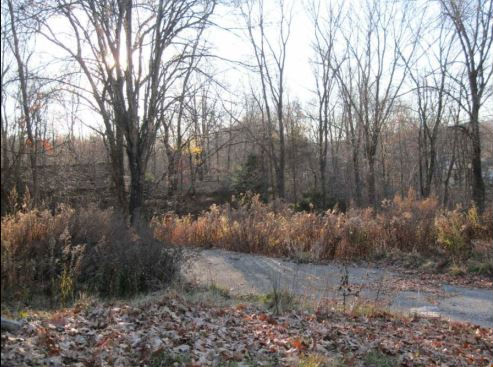 3 Clearview Ci